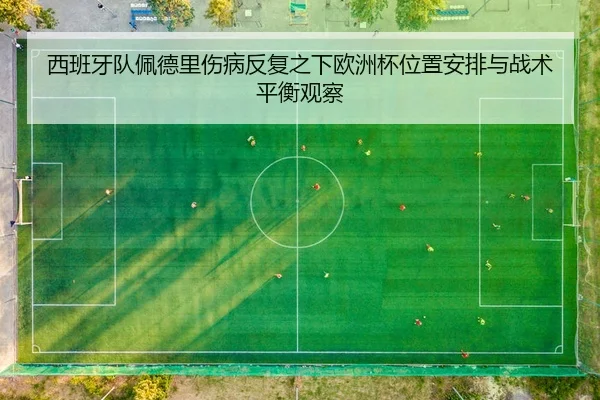 西班牙队佩德里伤病反复之下欧洲杯位置安排与战术平衡观察