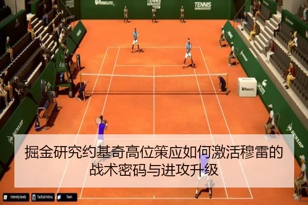 掘金研究约基奇高位策应如何激活穆雷的战术密码与进攻升级