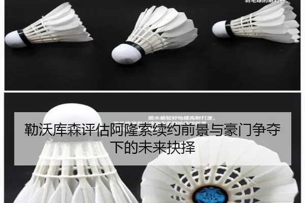 勒沃库森评估阿隆索续约前景与豪门争夺下的未来抉择