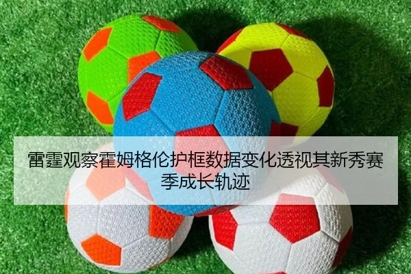雷霆观察霍姆格伦护框数据变化透视其新秀赛季成长轨迹