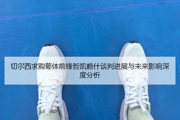 切尔西求购葡体前锋哲凯赖什谈判进展与未来影响深度分析